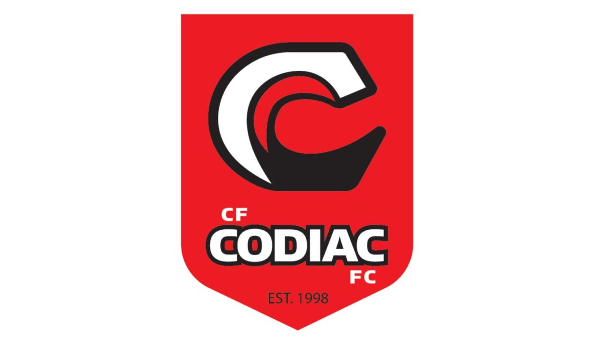 Codica Logo